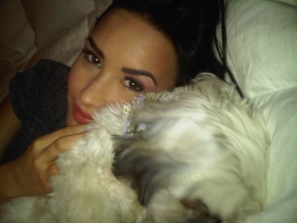 Demi Lovato posted a new pic of her and Bella on her Twitter