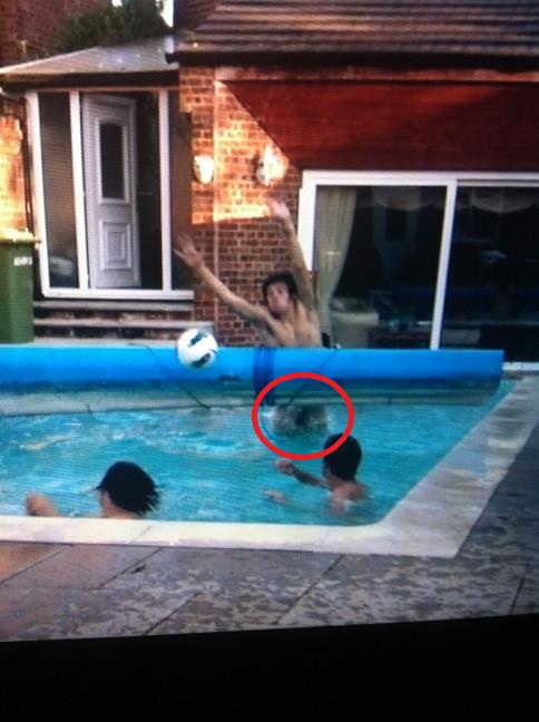 During their fun time in the pool Harry jumped up to catch the ball and